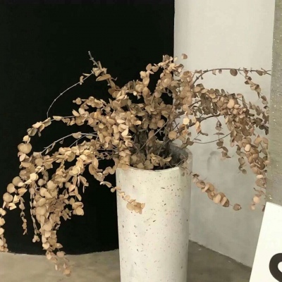 Furry角色动作设计福瑞群